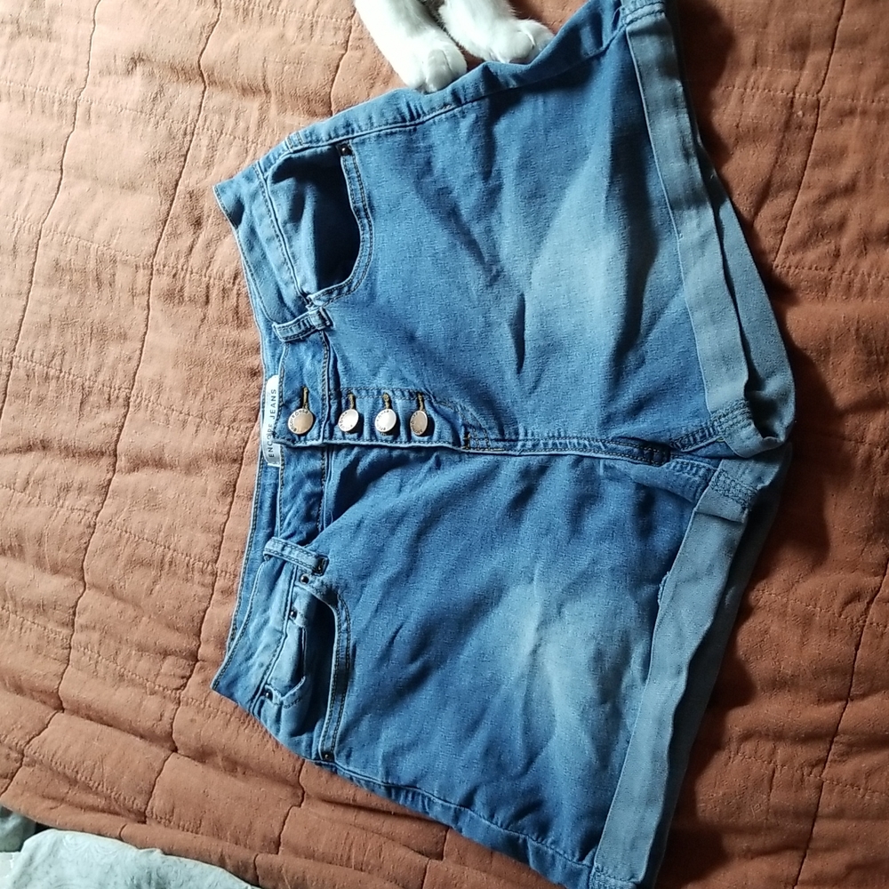 Encore Jeans High Waisted Shorts